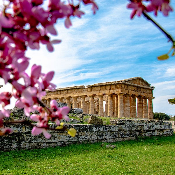 Private Excursions & Group Tours - Archaeological Site of Paestum